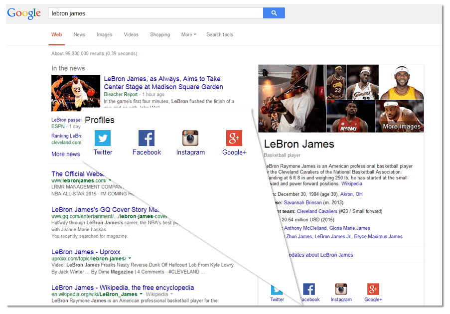 people knowledge graph social profile